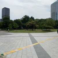 【東京都🇯🇵芝公園】都会のオアシス☺️東京タワーを見ながらのんびり散歩