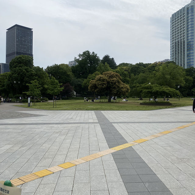 【東京都🇯🇵芝公園】都会のオアシス☺️東京タワーを見ながらのんびり散歩