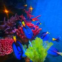 SEA LIFE Bangkok Ocean World