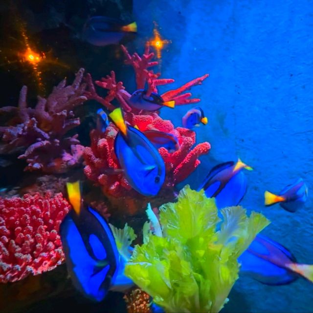 SEA LIFE Bangkok Ocean World