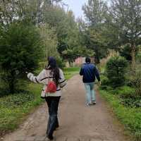 Traveling through time: The cemetery of Frankfurt