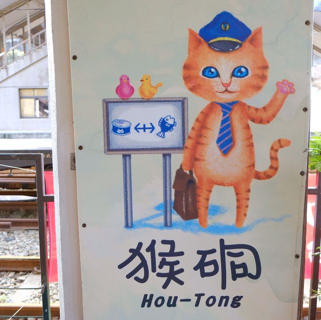 台北 - 闖入喵喵的世界🐱