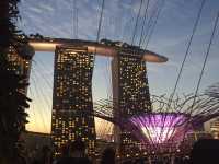 去新加坡最不能錯過- 打卡Garden By The Bay