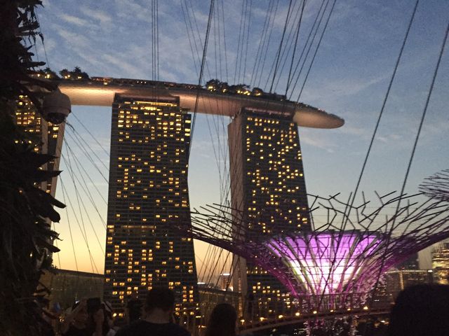 去新加坡最不能錯過- 打卡Garden By The Bay