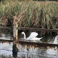 Autumn adventures in Nottinghamshire