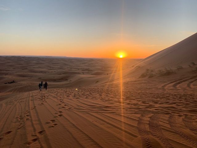 Starry Nights Over the Sahara