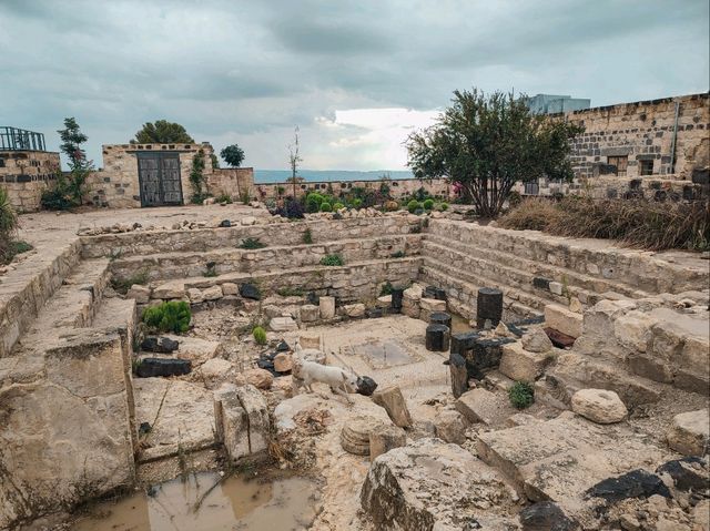 Gadara: Jordan's Ancient Black City