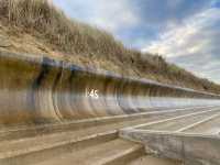 🌊🦭 Nature's Spectacle Along Norfolk's Coast