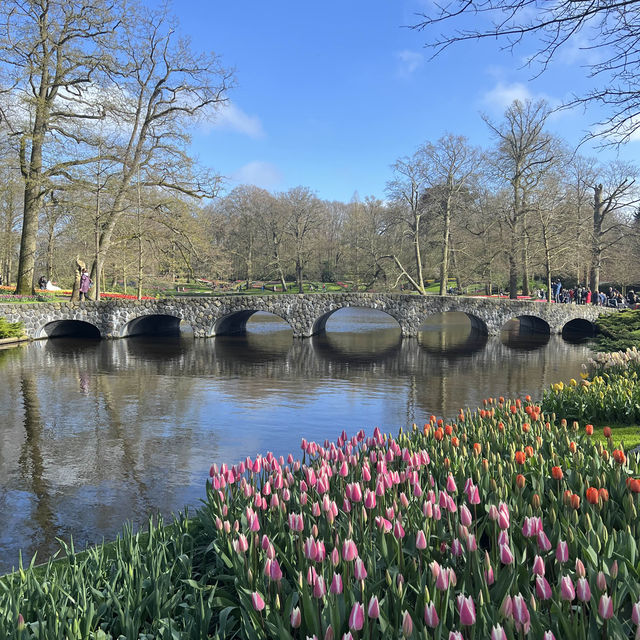 Keukenhof at Amsterdam💐 