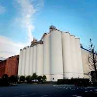 🍻Asahi Beer Museum🍺啤酒喝到飽飽