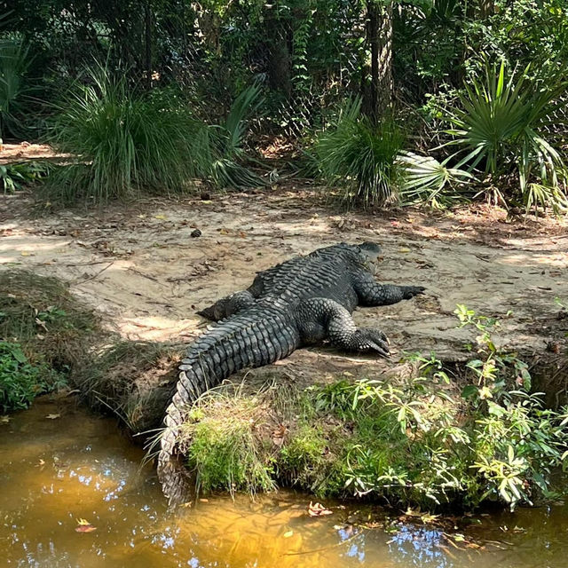 Riverbanks Zoo & Garden 🇺🇸