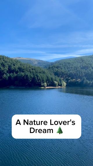 A Nature Lover's Dream 🌲