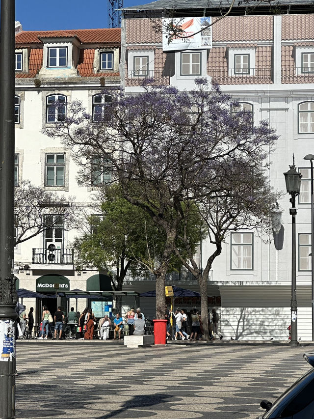 Lisbon is a city that captivates!