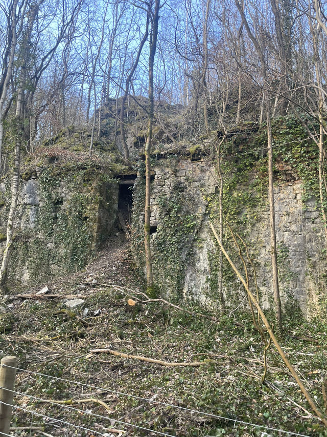 Burleigh wood in Loughborough 