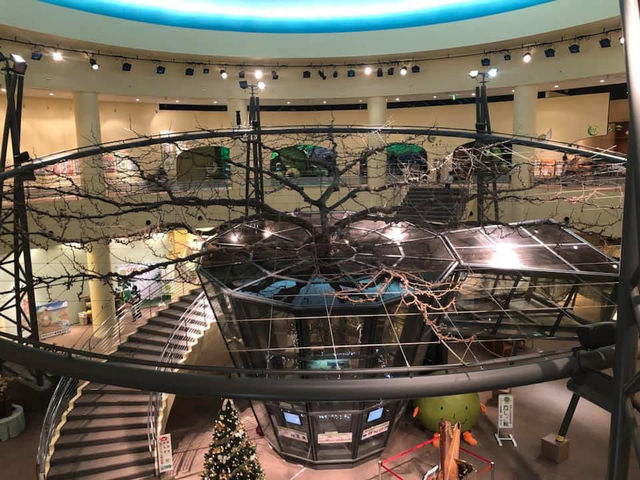 Pear-themed museum