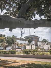 Place Mohammed V: The Heartbeat of Casablanca ❤️🌿  