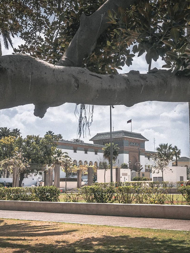 Place Mohammed V: The Heartbeat of Casablanca ❤️🌿  