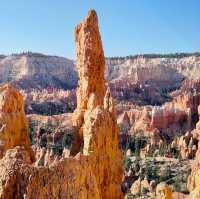🌄 Bryce Canyon National Park: A Red Rock Dreamscape!