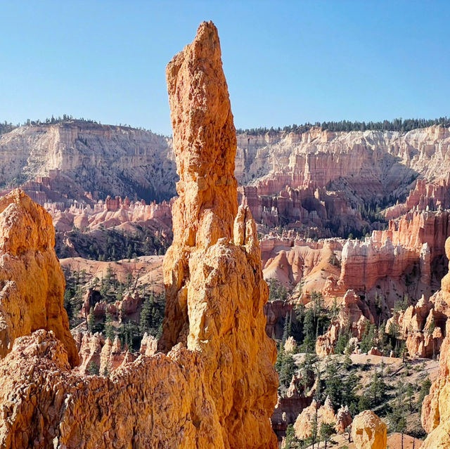 🌄 Bryce Canyon National Park: A Red Rock Dreamscape!