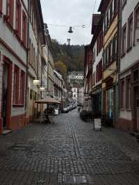 Beauty of Heidelberg City 🌆