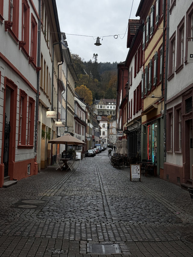 Beauty of Heidelberg City 🌆