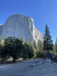 🌄 Top Landmarks in Yosemite National Park You Can’t Miss 🏔️