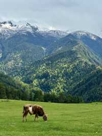 can’t afford the Dolomites? try Svaneti instead 🏔️🇬🇪
