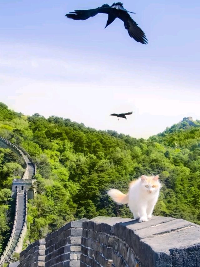 🧱 Stone and Sky – Jinshanling Great Wall, China