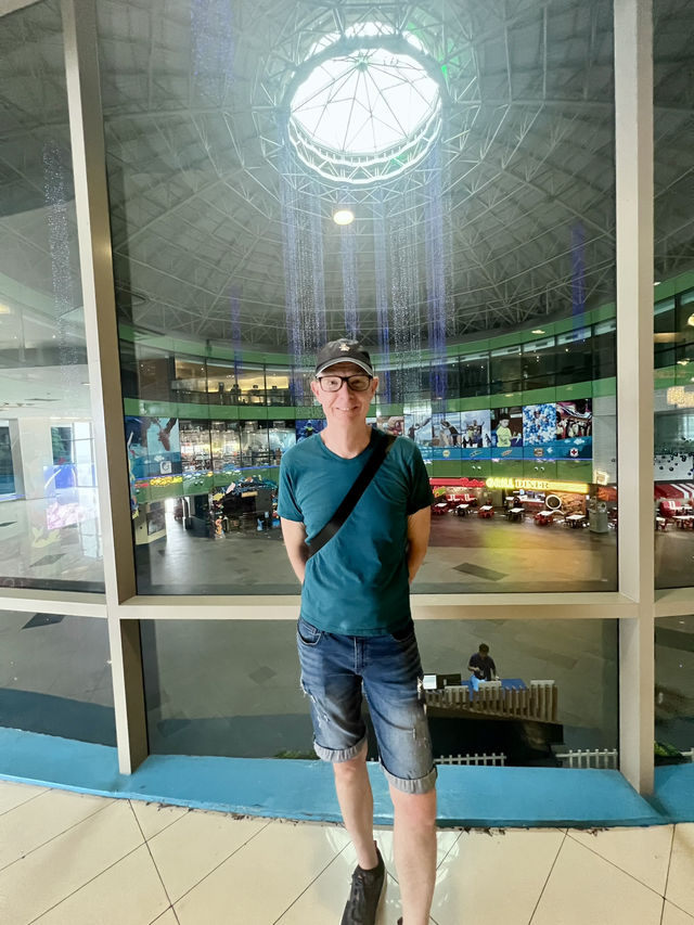 Dive Into Wonder at Manila Ocean Park – The Philippines’ Ultimate Marine Adventure! 🌊🐠 