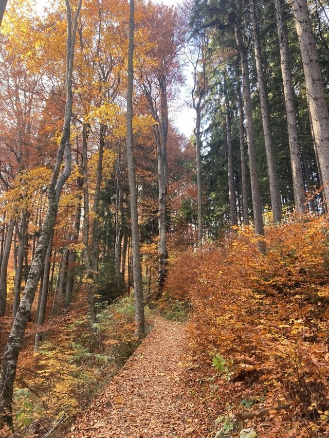 Autumn Elegance in Sinaia 🍂 Autumn Elegance in Sinaia 🍂