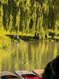 Glide Through History: Punting in Cambridge