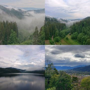 ドイツの黒い森（シュヴァルツヴァルト）、人々を魅了する森。 | Trip
