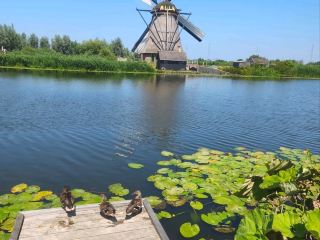 オランダの世界遺産キンデルダイクでのんびり散策リラックスルート。