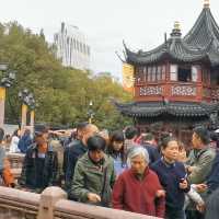 #Shanghai Old Street #Yu Garden #November2019