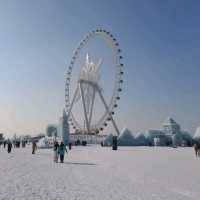 Ice and Snow World⛄️