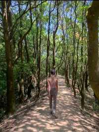 Shenzhen Hiking | It's no less than Hong Kong's MacLehose Trail!