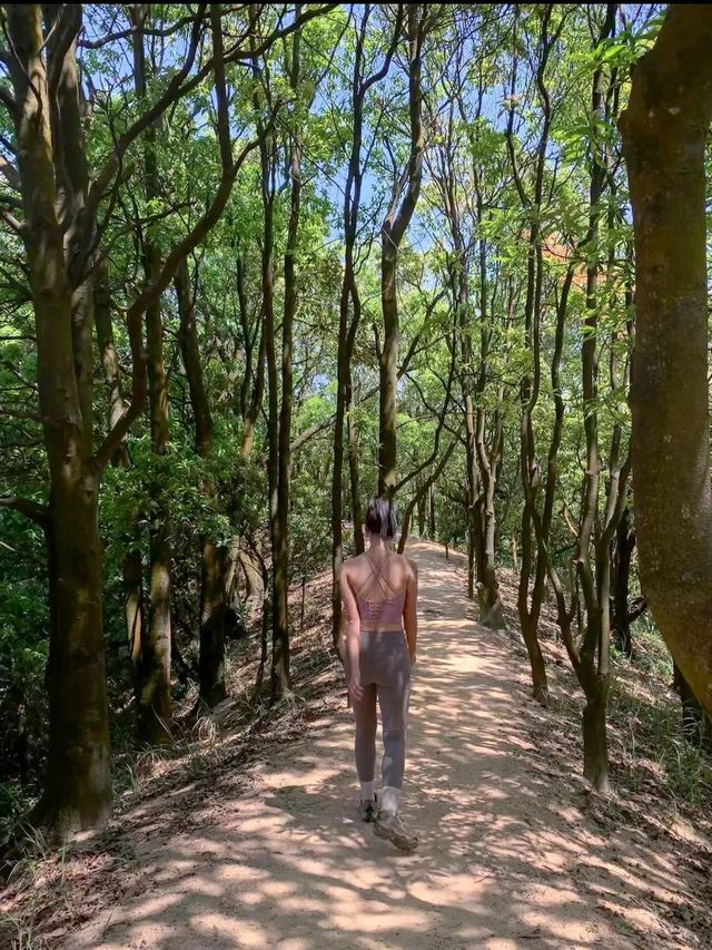 Shenzhen Hiking | It's no less than Hong Kong's MacLehose Trail!