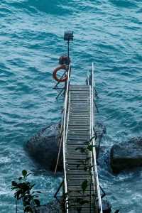 Hong Kong's off-the-beaten-path check-in spot 🌊, crossing through New Zealand's fishing port｜