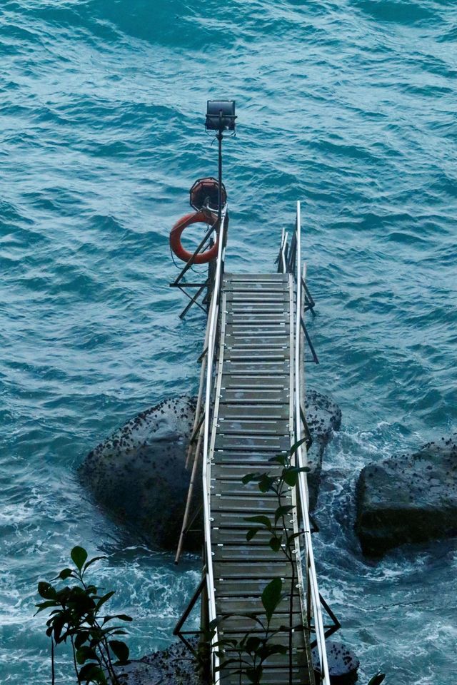 Hong Kong's off-the-beaten-path check-in spot 🌊, crossing through New Zealand's fishing port｜