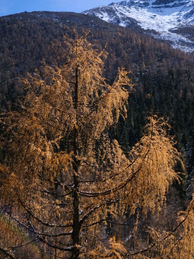 First Autumn-Snow Hike in Majiagou