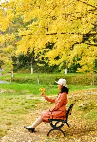 11月下旬自駕到南雄帽子峰森林公園景區