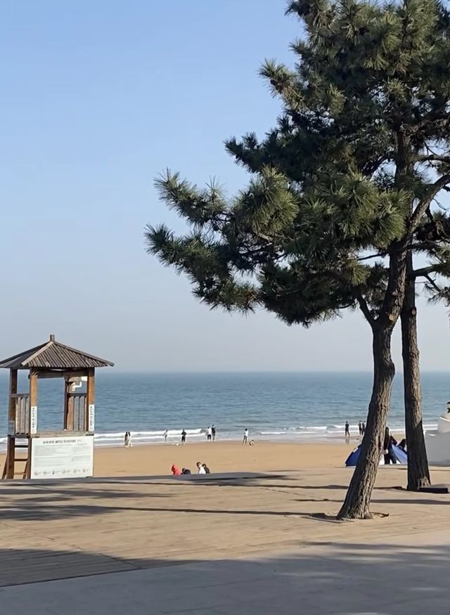 親人們，誰懂啊 十一月的日照才是天花板