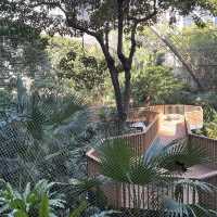 打卡香港動植物公園