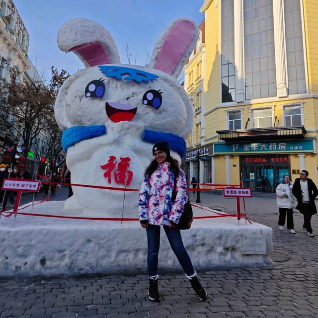 The most famous & popular Pedestrian Street