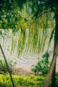 旗山湖公園的遊玩推薦