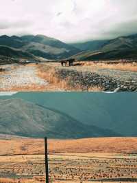 兰州大學城關校區兰州周邊|天祝~小眾旅遊