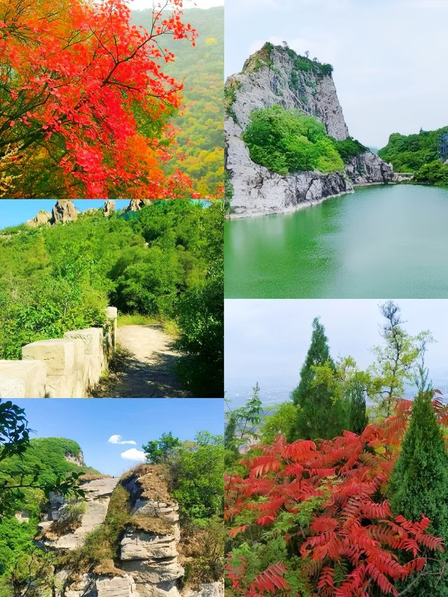 青龍山