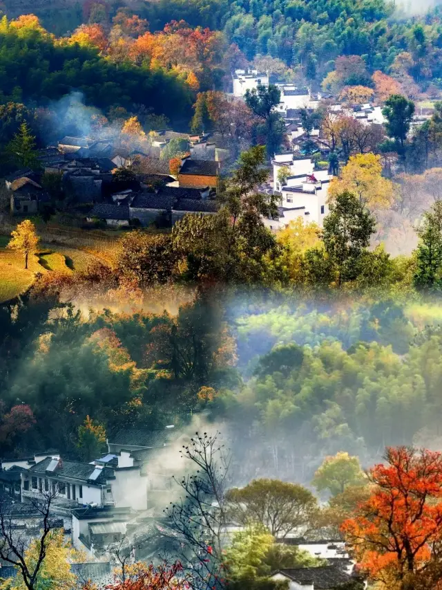 Don't miss the dreamlike beautiful autumn scenery of Tachuan