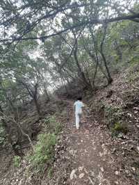 雲蒙山皇家森林公園徒步