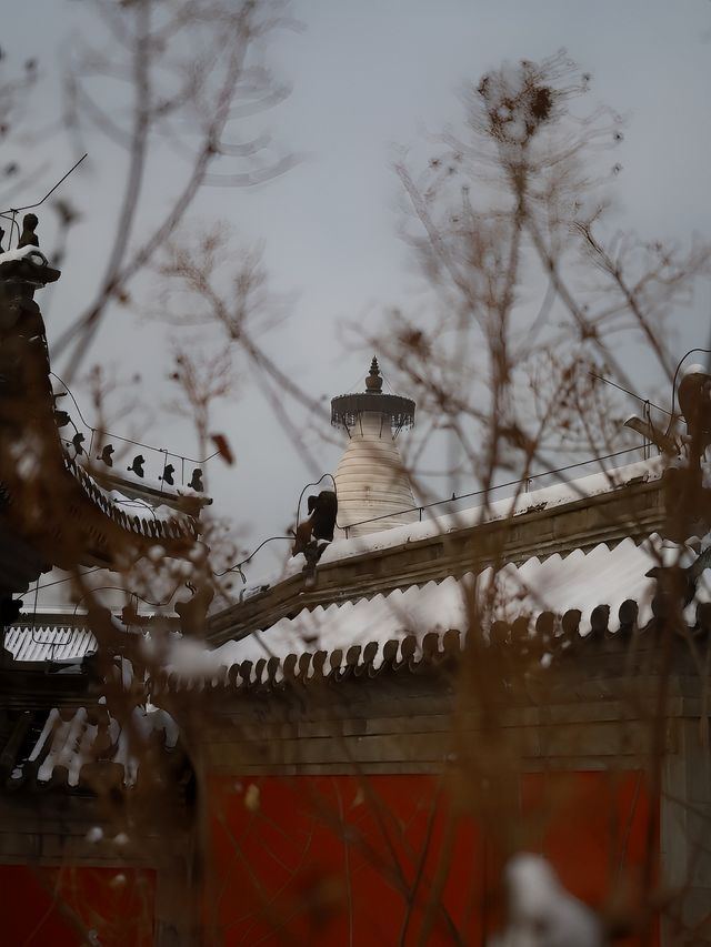 0元拍照打卡！北京最美雪景！